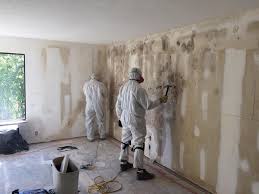 Best Residential Mold Inspection & Testing  in London, CA